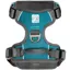Embark Adventure Harness Teal
